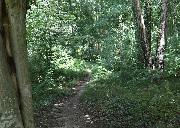 Calme Et Verdure 9