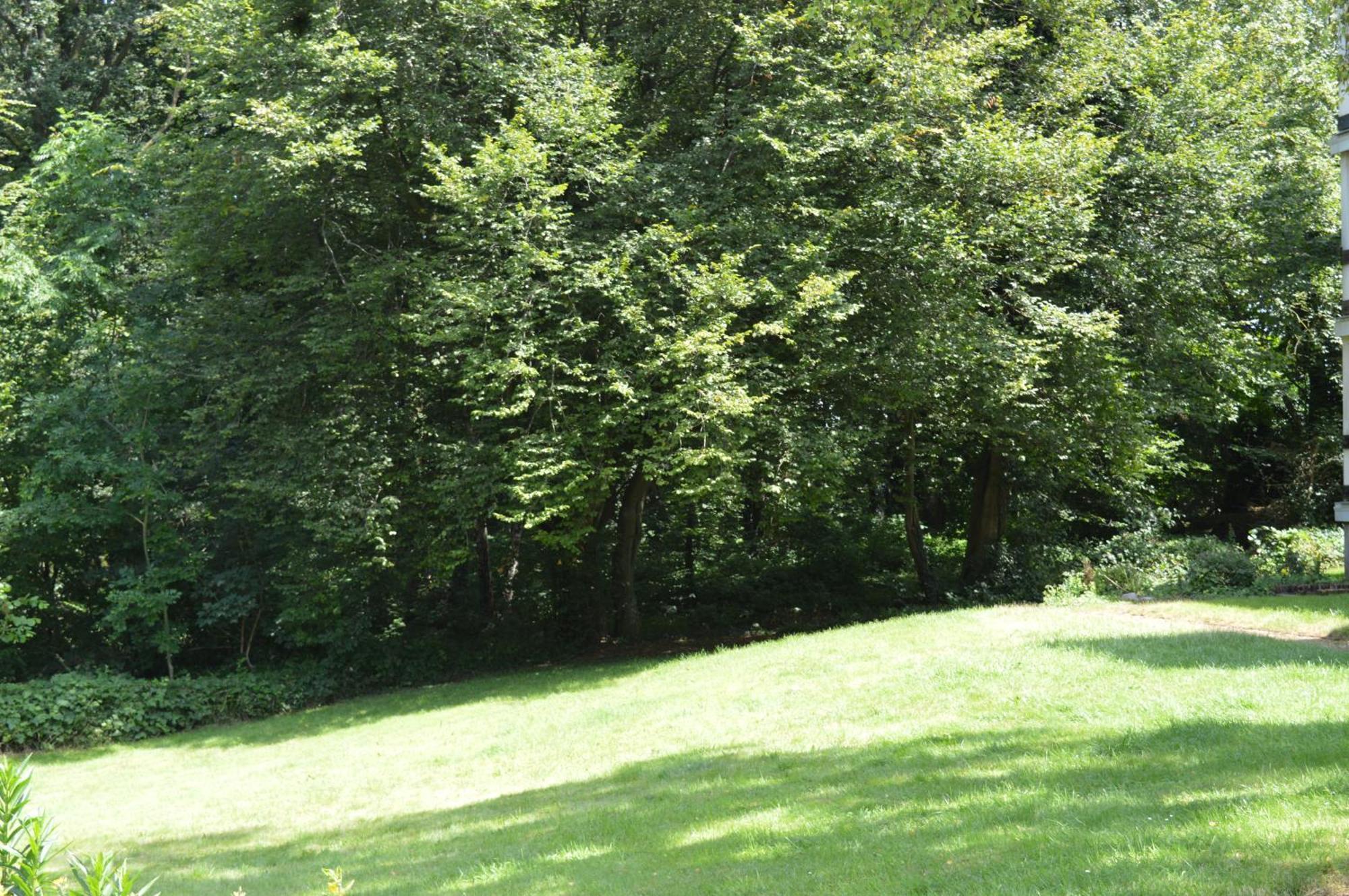 Calme Et Verdure 9 Apartment *