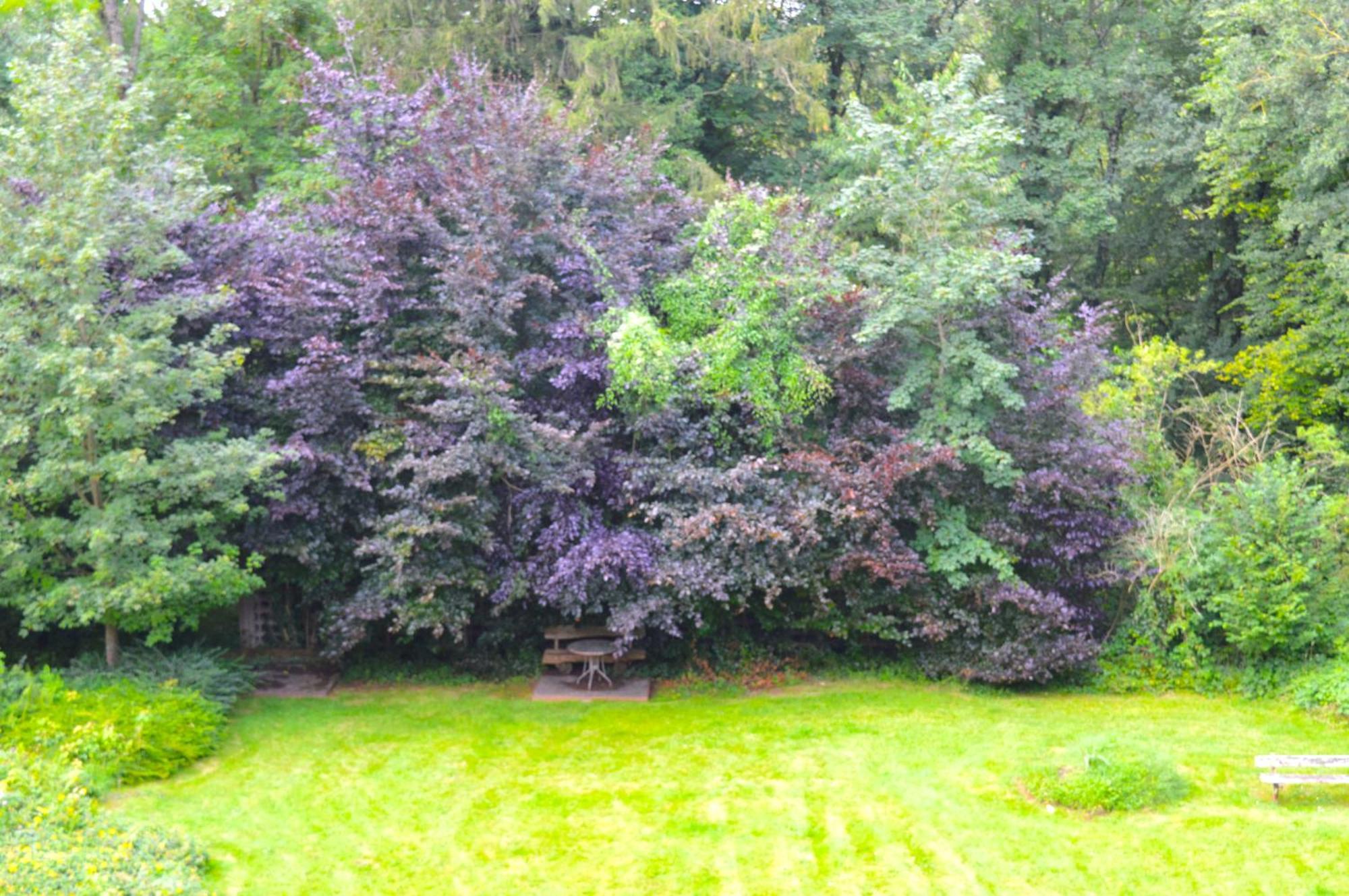 Calme Et Verdure 9 Apartment *